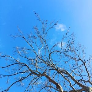 Meet your Posher, Jinsung